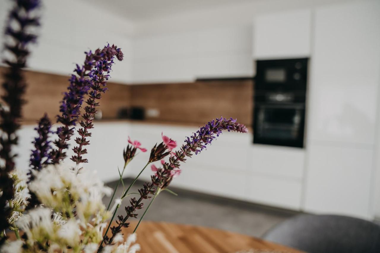 Usti Apartment Hranice (Olomouc)