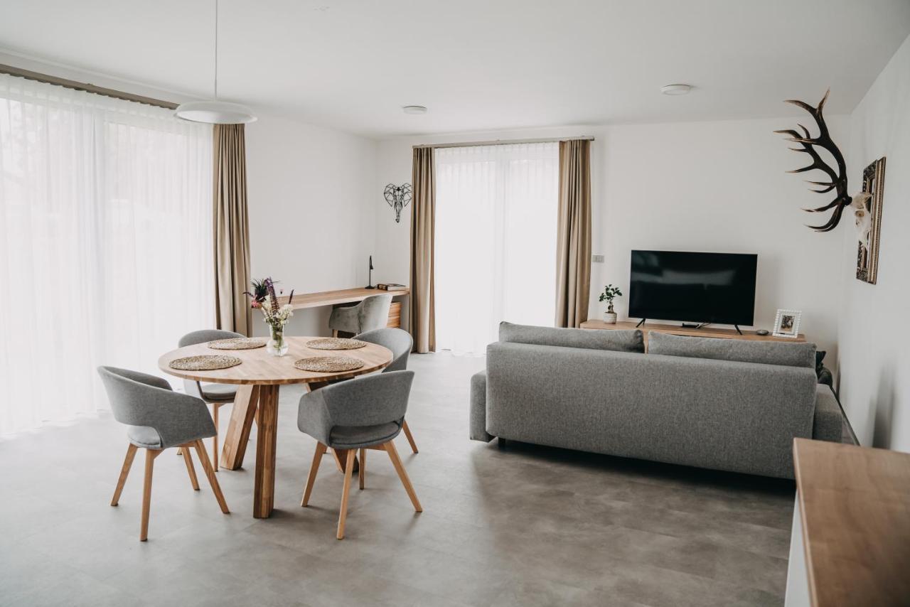 Usti Apartment *