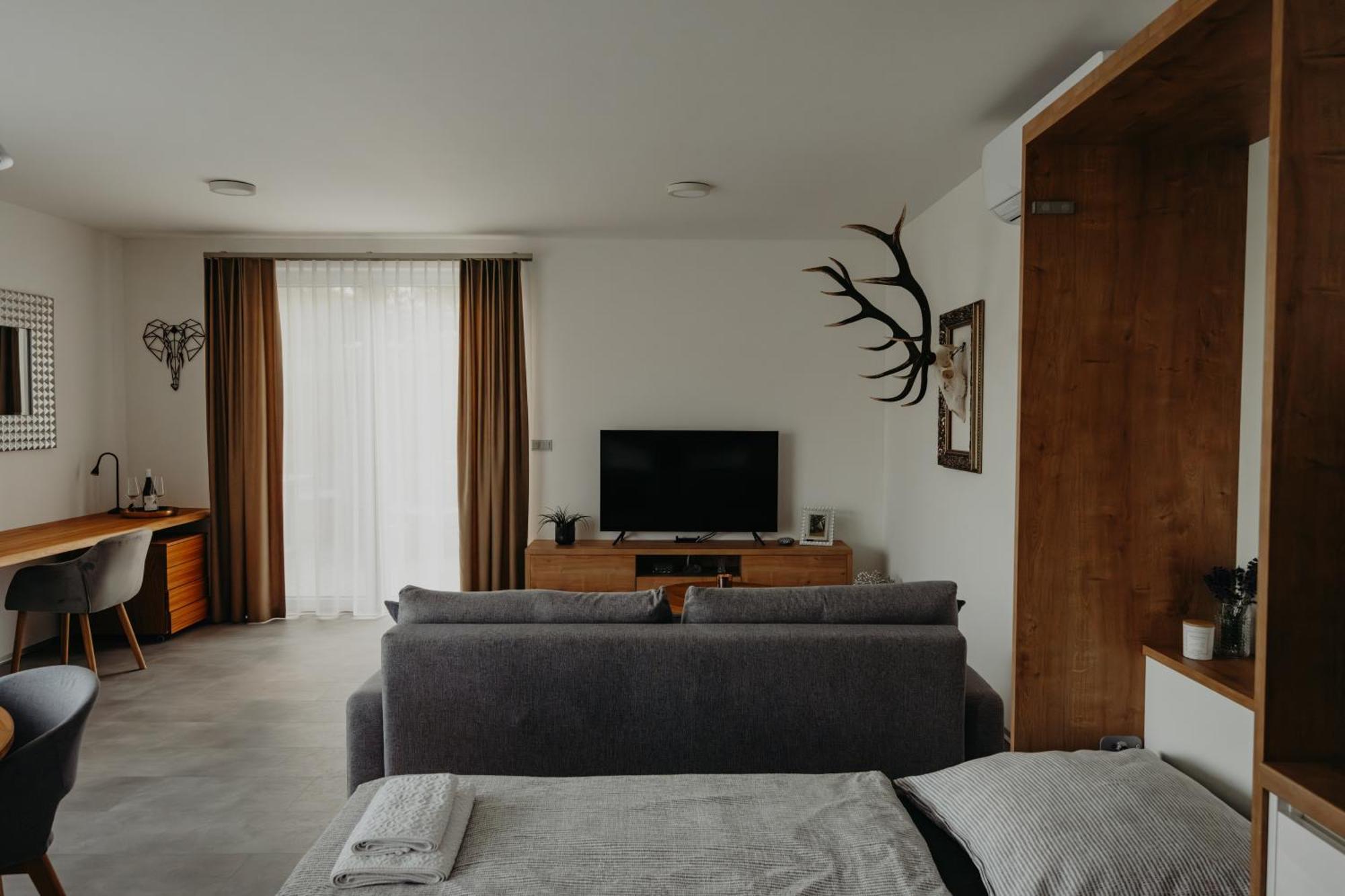 Apartment Usti *