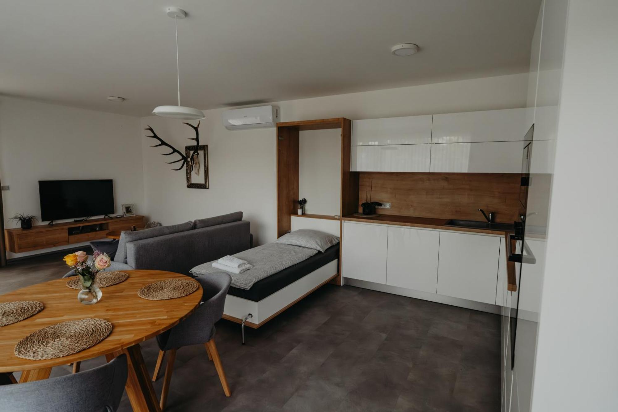 Apartment Usti Hranice (Olomouc)